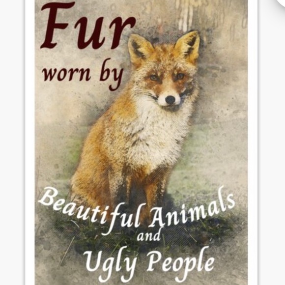 Faux not Fur - Picture 3 of 13